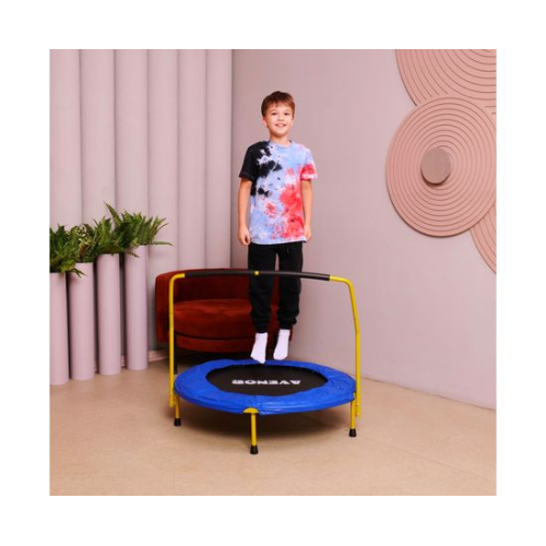 Батут с поручнем DFC AVENOR 36"