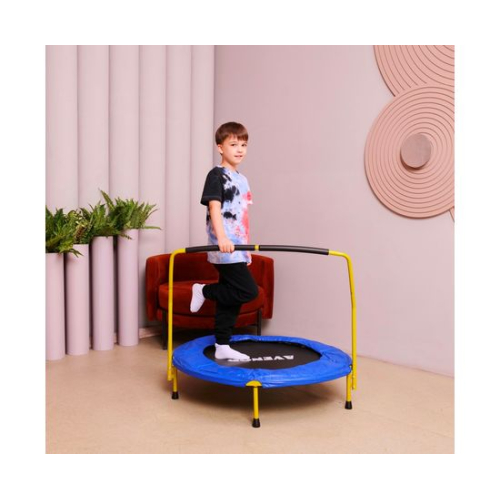 Батут с поручнем DFC AVENOR 36"