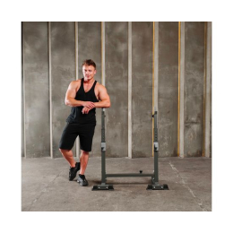 Стойка под штангу с брусьями DFC DS10