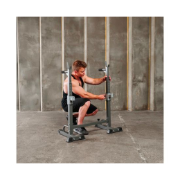 Стойка под штангу с брусьями DFC DS10