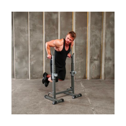 Стойка под штангу с брусьями DFC DS10