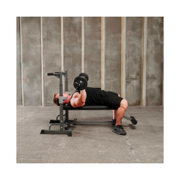 Стойка под штангу с брусьями DFC DS10