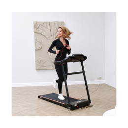 Беговая дорожка DFC BERIT  T-107