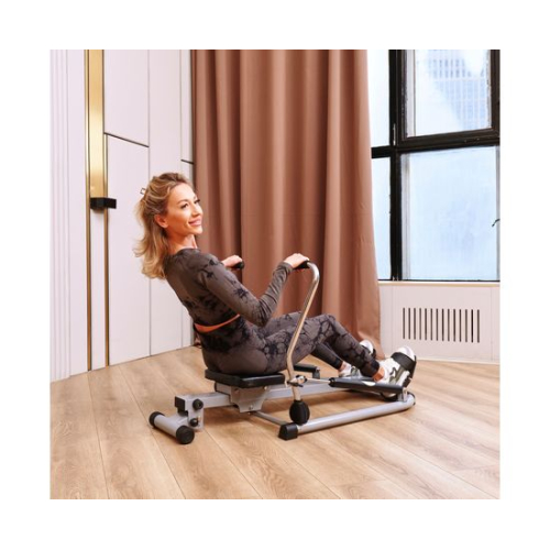 Гребной тренажер DFC R403B2