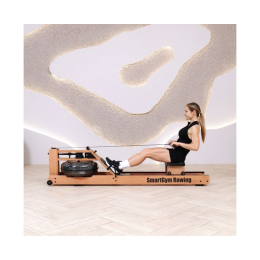 Гребной тренажер DFC SmartGym WR-02