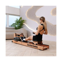 Гребной тренажер DFC SmartGym WR-02