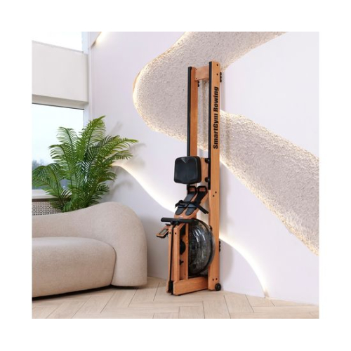 Гребной тренажер DFC SmartGym WR-02