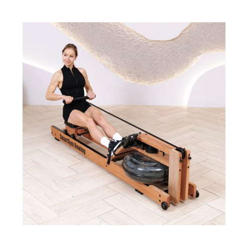 Гребной тренажер DFC SmartGym WR-02