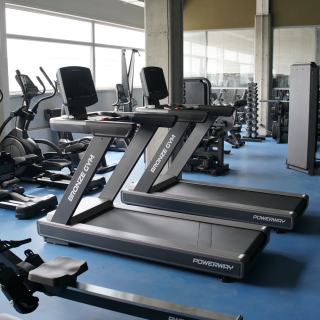 Электрическая беговая дорожка Bronze Gym PowerWay 10437633