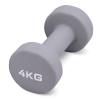 Гантель для аэробики неопреновая PRCTZ NEOPRENE DUMBBELL, 4 кг.