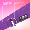 Ремень для йоги с металлическим карабином PRCTZ YOGA STRAP, фиолетовый