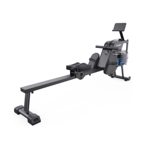 Гребной тренажер DFC ECHANFIT, водно-магнитный