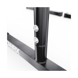 Брусья / хайлетсы DFC