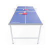 Теннисный стол DFC RayChee 60" 150 x 67 см