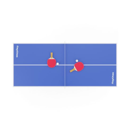 Теннисный стол DFC RayChee 60" 150 x 67 см