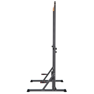 Напольный турник DFC HOMEGYM SC-G719