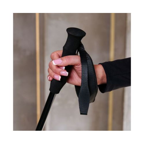 Горнолыжный тренажер DFC SkiPro Black