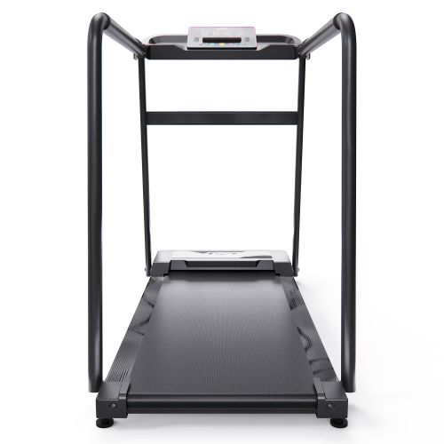 Беговая дорожка DFC Cora T165