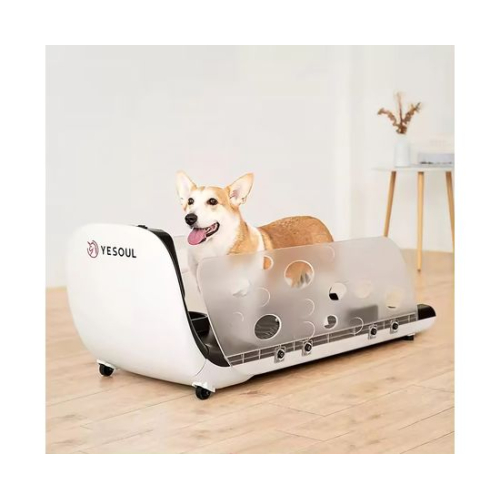 Беговая дорожка Yesoul для собак