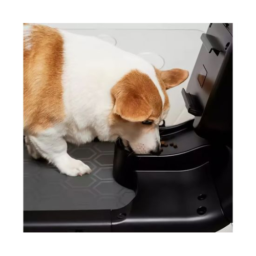 Беговая дорожка Yesoul для собак