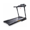 Беговая дорожка DFC LONGTEK T-X510G