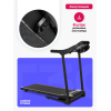 Беговая дорожка домашняя CARBON FITNESS T306 NEW