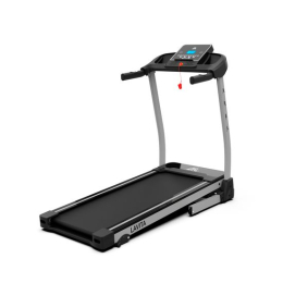 Беговая дорожка DFC LAVITA T350