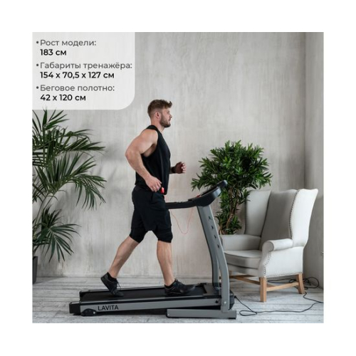 Беговая дорожка DFC LAVITA T350