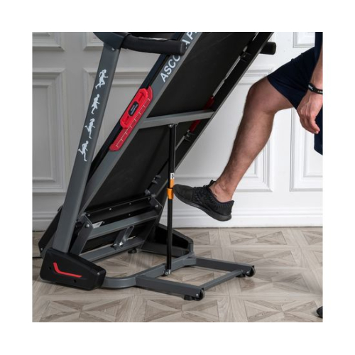 Беговая дорожка DFC ASCONA Pro T640