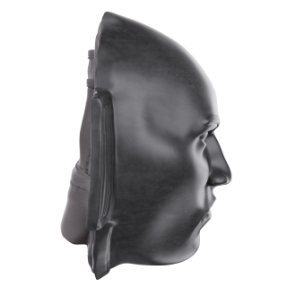 Боксерская лапа DFC Mask-Punching Mitt TLS-J