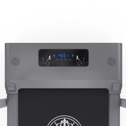 Беговая дорожка с поручнем DFC NEW LIFE TM-200z, 98 х 39,5 см