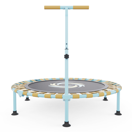 Батут для фитнеса DFC 40" TP5001B с поручнем