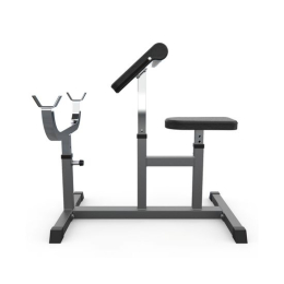 Скамья Скотта DFC Homegym UB009G серый