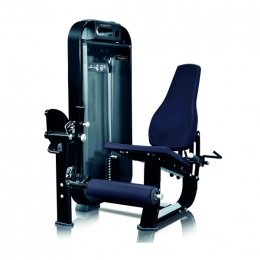 Разгибание ног сидя UG-DM510