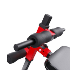 Скамья для пресса регулируемая DFC WRK-1008 / до 120 кг