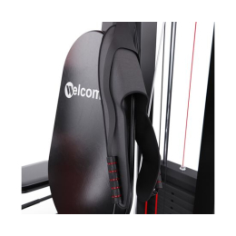 Силовой комплекс DFC WRK-5200