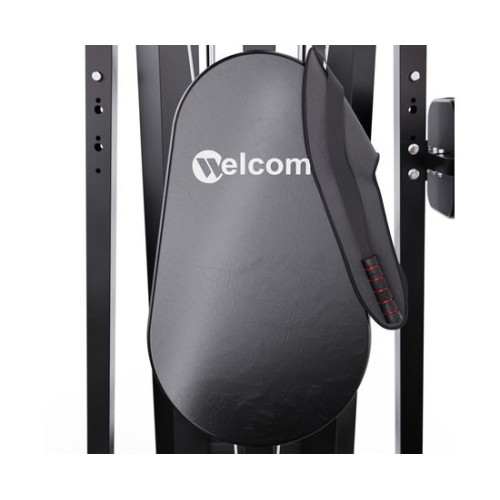 Силовой комплекс DFC WRK-5200