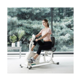 Горизонатльный велотренажер DFC LEXPA