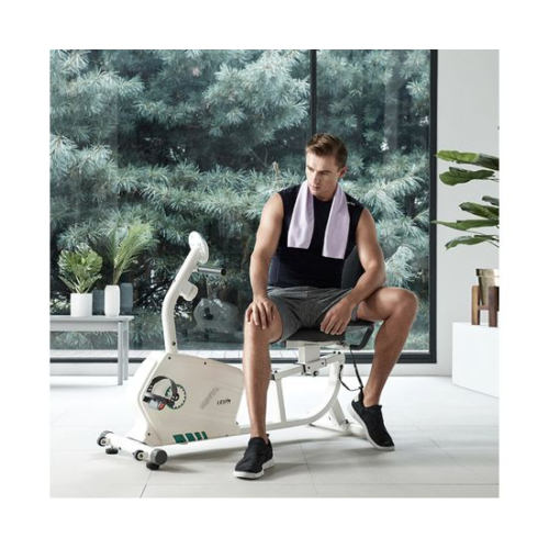 Горизонатльный велотренажер DFC LEXPA