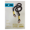 Эспандер с карабином LivePro LP8401 L