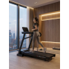 Беговая дорожка CardioPower S300