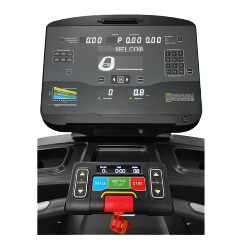 Беговая дорожка CardioPower профессиональный (PRO) CT500 – V12