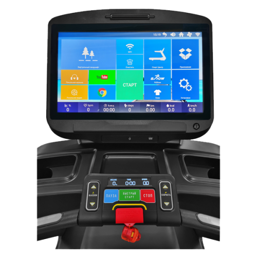 Беговая дорожка CardioPower профессиональный (PRO) CT550 – V12T