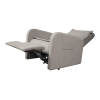 Кресло-реклайнер электрический с массажем FUJIMO E-COMFORT CHAIR Mouse