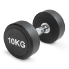 Гантель круглая 10 кг (2 штуки)  VictoryFit VF-R100-2