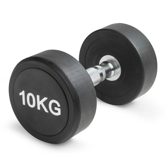 Гантель круглая 10 кг (2 штуки)  VictoryFit VF-R100-2