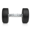 Гантель неразборная круглая 10 кг. VictoryFit VF-R100
