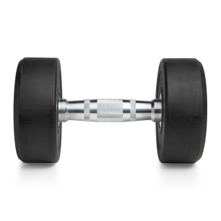 Гантель круглая 10 кг (2 штуки)  VictoryFit VF-R100-2