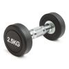 Гантель круглая  2,5 кг (2 штуки)  VictoryFit VF-R025-2