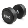 Гантель неразборная круглая 30 кг. VictoryFit VF-R300
